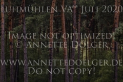 Conny S Magdalena STEINLE