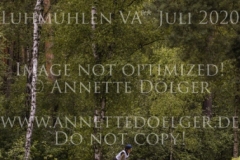 Camar Vaticana AA Anna Catharina LAFRENZ