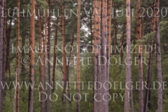 Troy 13 Leo VON SCHMELING