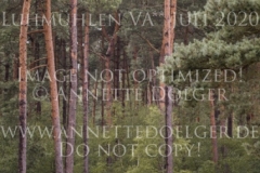 Troy 13 Leo VON SCHMELING