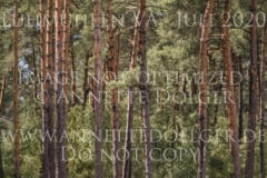 Calimero 690 Katharina DONST