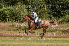 Chintano 7 Nicholas GOLDBECK