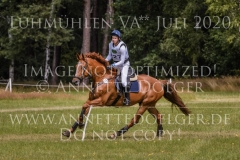 Chintano 7 Nicholas GOLDBECK