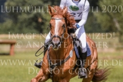 Chintano 7 Nicholas GOLDBECK