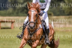 Chintano 7 Nicholas GOLDBECK