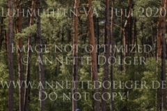 Chintano 7 Nicholas GOLDBECK