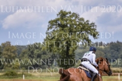 Chintano 7 Nicholas GOLDBECK