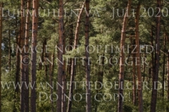 Cracker Jack D Kristina EHRLICH