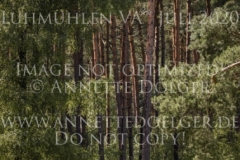 Confetti 39 Svenja KIESE