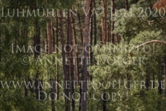 Confetti 39 Svenja KIESE