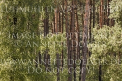 Octano de Peñaflor AA Esteban BENITEZ VALLE