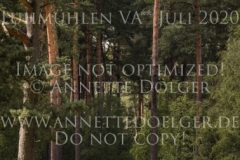 Octano de Peñaflor AA Esteban BENITEZ VALLE