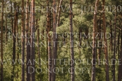 Cassiopeia W Katharina KOPP