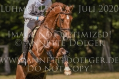 Cold Red Rum Dirk SCHRADE