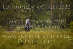 Dorabella 7 Sadie BUCHENAU