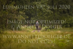 Diamantina OZ Alexandra HAASE-UITZ