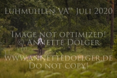 Duke's Enchantress Anne WENSKE