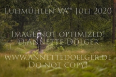 Duke's Enchantress Anne WENSKE