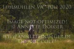 Duke's Enchantress Anne WENSKE