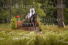 Duke's Enchantress Anne WENSKE