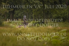 Escothan Nicole BLESS