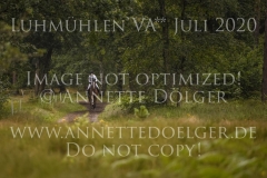 Escothan Nicole BLESS