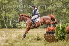 Plinius xx 3 Lia MAZUR