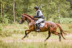 Plinius xx 3 Lia MAZUR