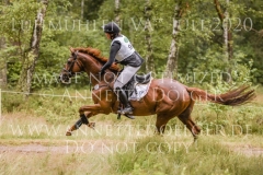 Plinius xx 3 Lia MAZUR