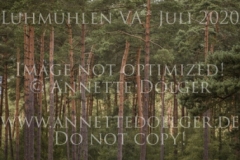 Gustav Be Felicia VON BAATH