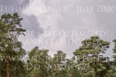 Oliver Twist 25 Jana LEHMKUHL