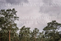 Icarus 31 Daya Singh HUJAN