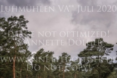 Icarus 31 Daya Singh HUJAN