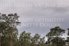 Oliver Twist 25 Jana LEHMKUHL