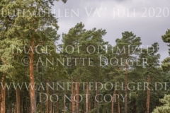 Fairmont Hill Esteban BENITEZ VALLE