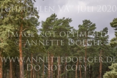 Fairmont Hill Esteban BENITEZ VALLE