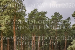 Fairmont Hill Esteban BENITEZ VALLE