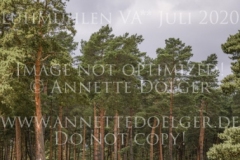 Fairmont Hill Esteban BENITEZ VALLE