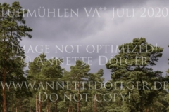 Kalif 269 Jeanette VON SCHILLER