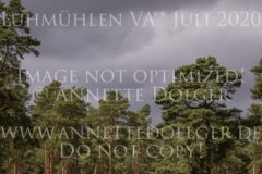 Kalif 269 Jeanette VON SCHILLER