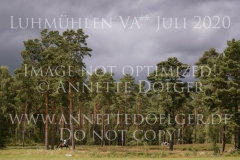 L'Aron des Bois Bernhard REEMTSMA