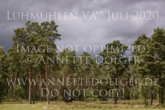 L'Aron des Bois Bernhard REEMTSMA