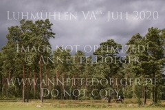 L'Aron des Bois Bernhard REEMTSMA