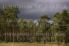 Raspurry Sarah SCHLOßMUELLER