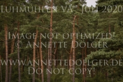 Wernisaz M 2 Carina KOCH