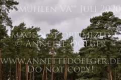 Florentina GS Katharina KOPP