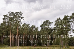 Happy Lady 12 Kim HEITMANN