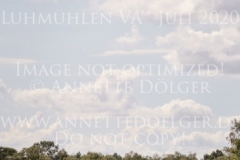 Clover's Top That Nicolai ALDINGER