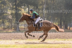 Curley Boy Nicholas GOLDBECK