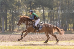 Curley Boy Nicholas GOLDBECK